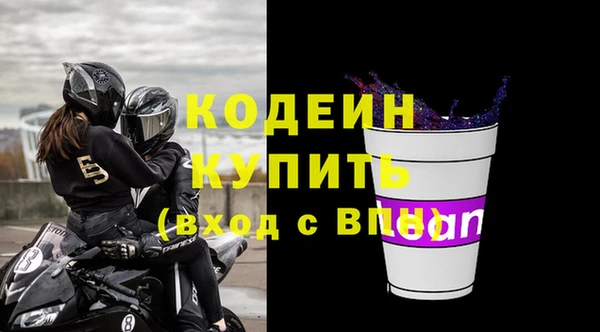 стафф Корсаков