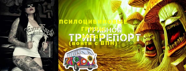 синтетический гашиш Костерёво