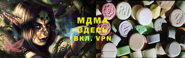 стафф Корсаков