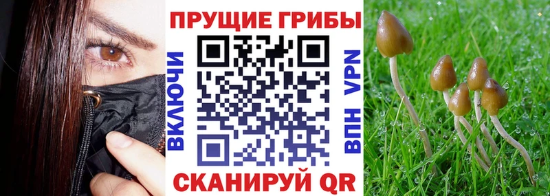 Галлюциногенные грибы MAGIC MUSHROOMS  Купить  Азов 